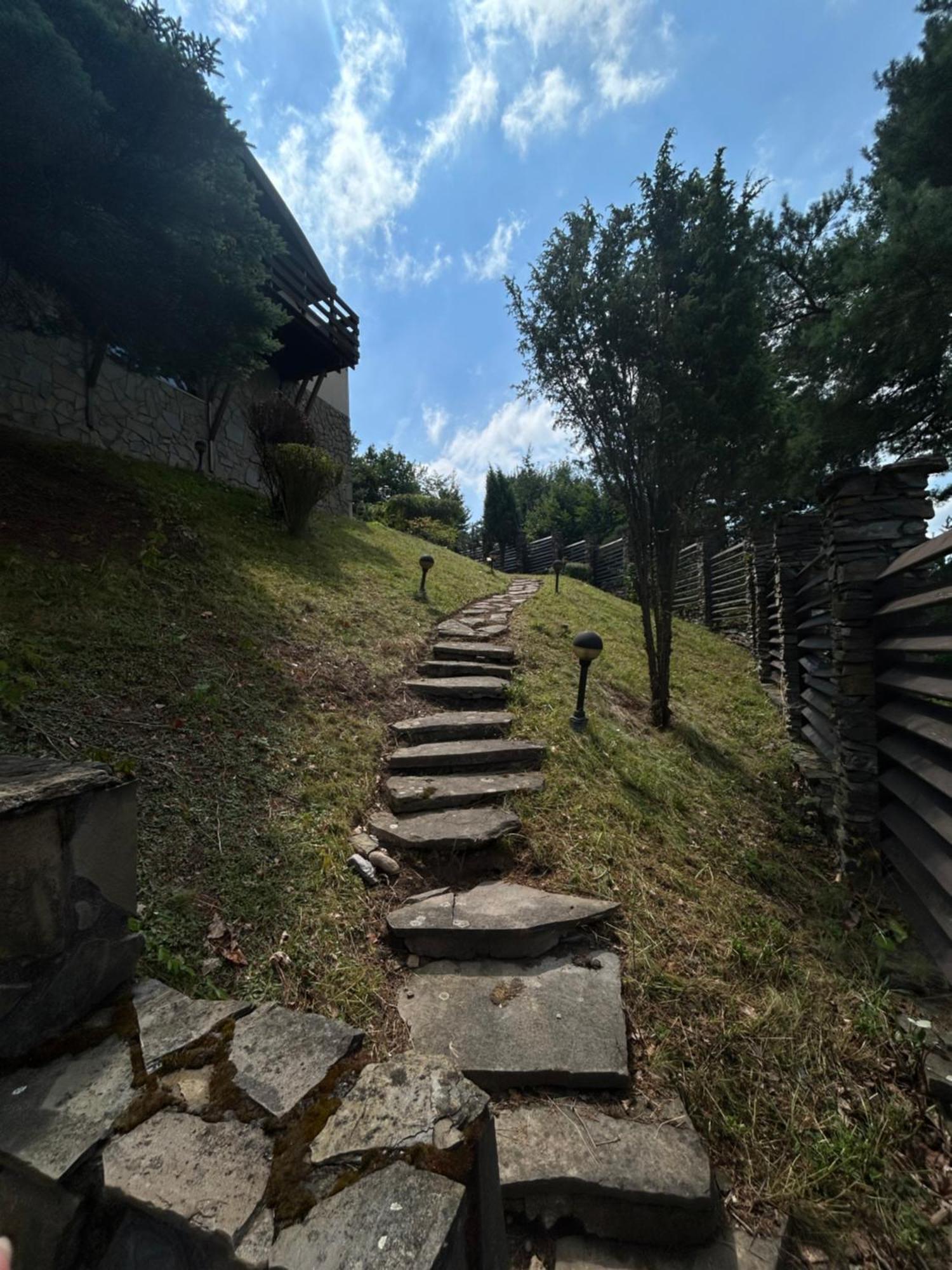 Niedzwiedzia Vila Gródek Nad Dunajcem